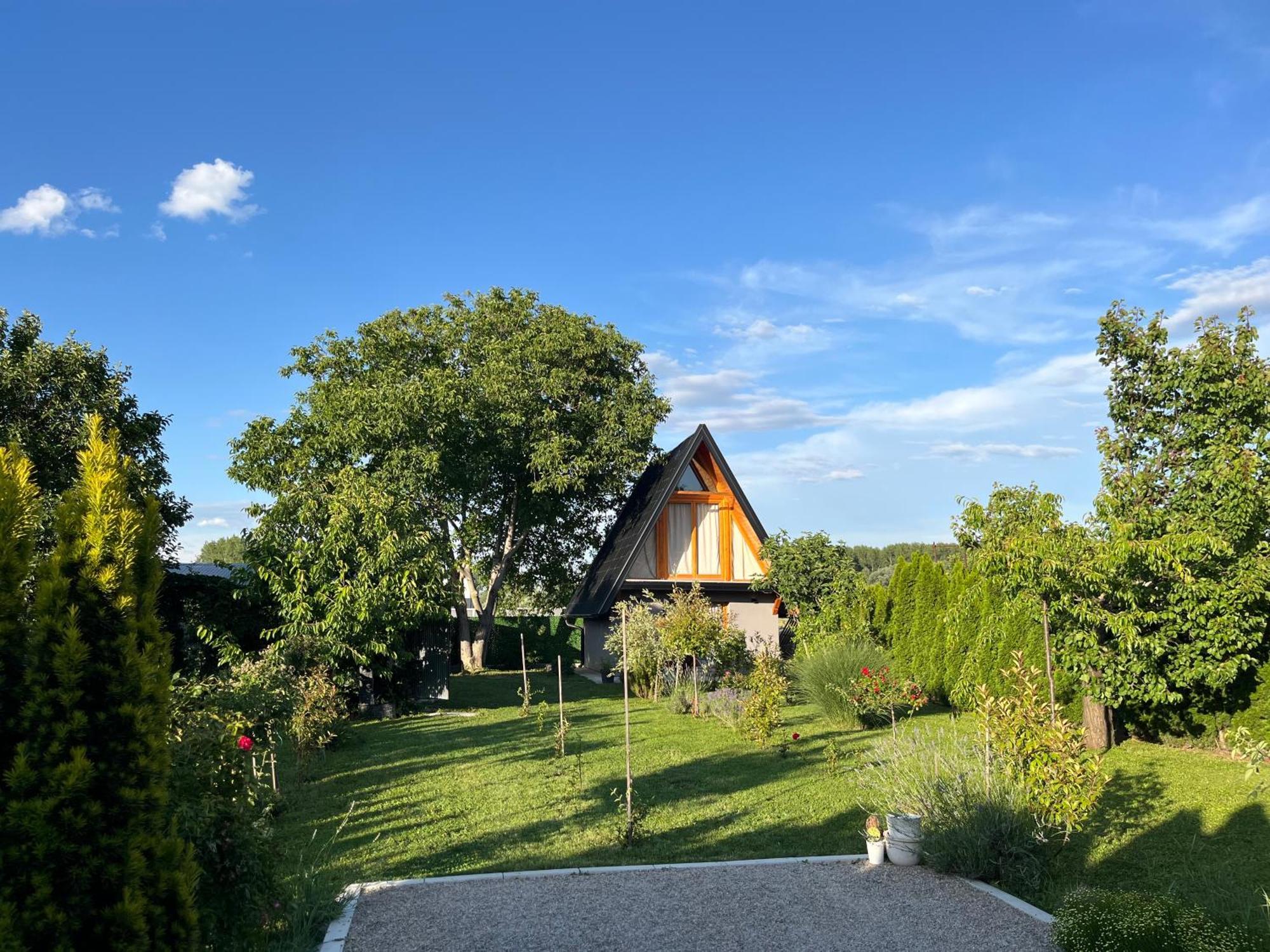 Petrovaradin Chalet Novi Sad Dış mekan fotoğraf